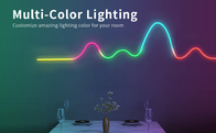 DC12V Safe Voltage NEON LED Strip RGB Home Decorative With Music Mode
