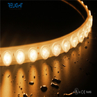 DMX512 Smart Control Flexible LED Strip Lights SMD3030 RGB Multi Angle Lighting